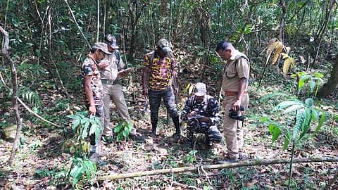 மானாம்பள்ளி வனச்சரகத்தில் நடைபெற்ற புலிகள் கணக்கெடுப்புப் பணியில் ஈடுபட்டிருந்த வனத் துறையினா்.