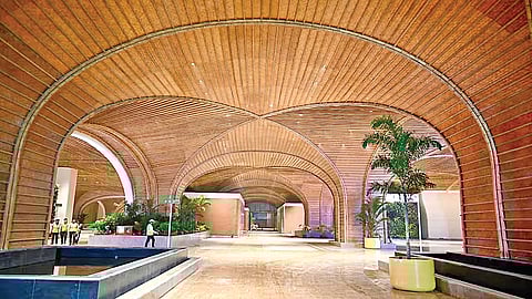 வாழும் காடு!