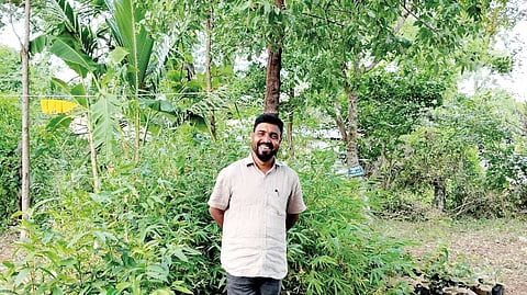 பெரிதினும் பெரிது செய்ய விழைவேன்!