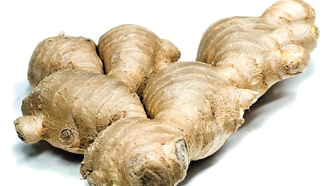 இஞ்சியின் மகத்துவம்...