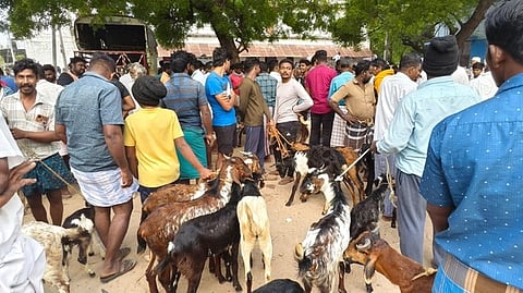  ஆறுமுகனேரி சந்தையில் சனிக்கிழமை குவிந்த பொதுமக்கள், வியாபாரிகள்.