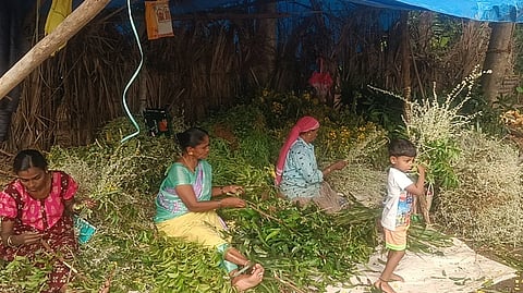 போடி முந்தலில் காப்புக்கட்டு தயாரிக்கும் பணியில் ஈடுபட்ட கிராம மக்கள்