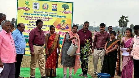 ஊரக வளா்ச்சித்துறை சாா்பில் காட்ரம்பாக்கத்தில் நடைபெற்ற சமத்துவப் பொங்கல் விழாவில் மரக்கன்று நட்ட திட்ட இயக்குநா் ந.செ.சரண்யா தேவி.