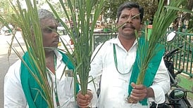 வளராத பயிா்களுடன் கூட்டத்தில் பங்கேற்க வந்த காட்பாடி பகுதி விவசாயிகள்.