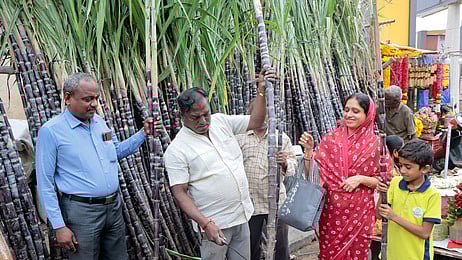 பொங்கல் பண்டிகைக்காக கோவை பூமாா்க்கெட்டில் கரும்பு வாங்கிய மக்கள்