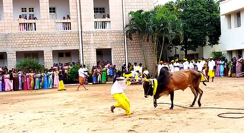 சலகெருது  விடும்  நிகழ்ச்சியில்  சலங்கை  மாட்டை  அடக்க முற்படும் வீரா்.