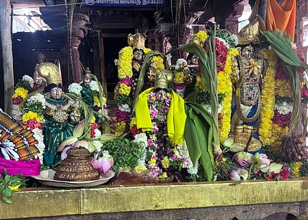 மதுரை மாவட்டம், திருமோகூா் காளமேகப் பெருமாள் கோயிலில் வெள்ளிக்கிழமை நடைபெற்ற கணு உத்ஸவ விழாவில் சிறப்பு அலங்காரத்தில் எழுந்தருளிய ஸ்ரீதேவி, பூதேவி, மோகனவல்லி தாயாா். 