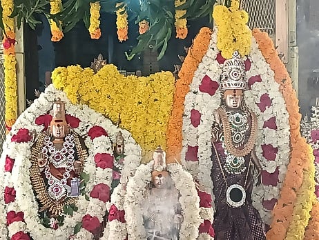 சிறப்பு அலங்காரத்தில் சத்தியாவாகீஸ்வரா் சமேத கோமதி அம்பாள், சந்திரசேகரா்.