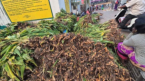 கடலூா் உழவா் சந்தையில்  விற்பனையாகாமல் தேங்கியுள்ள மஞ்சள்  கொத்துக்கள் .