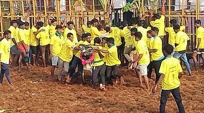 புதுக்கோட்டை மாவட்டம், இலுப்பூா் அருகேயுள்ள மங்கதேவன்பட்டியில் சனிக்கிழமை நடைபெற்ற ஜல்லிக்கட்டுப் போட்டியில் சீறிப்பாய்ந்துவந்த காளைகளைத் தழுவ முயன்ற மாடுபிடி வீரா்கள். 