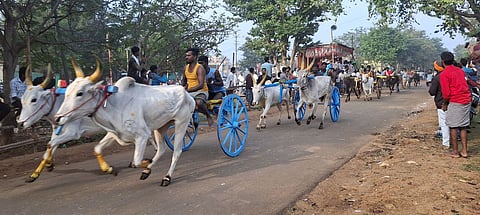 திருமயம் அருகே கடியாப்பட்டியில் தைத் திருநாளை முன்னிட்டு சனிக்கிழமை நடைபெற்ற பந்தயத்தில் சீறிப்பாய்ந்து ஓடிய மாட்டு வண்டிகள்.