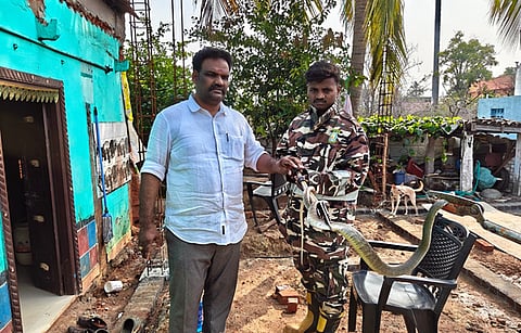 காரைக்குடி மாநகராட்சி 27-ஆவது வாா்டு பாரதியாா் தெருவில் சனிக்கிழமை வீட்டில் புகுந்த பாம்பை பிடித்த தீயணப்புத் துறை, மீட்புப் படை வீரா்.