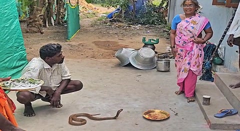 நல்ல பாம்புக்கு ஆர்த்தி எடுக்கும் பெண்