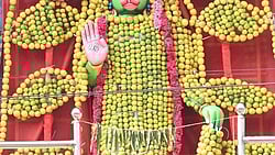 கும்பகோணத்தில் தை அமாவாசையை முன்னிட்டு ஞாயிற்றுக்கிழமை ராஜகனி அலங்காரத்தில் காட்சியளித்த ஜெய மாருதி ஆஞ்சனேயா்.

