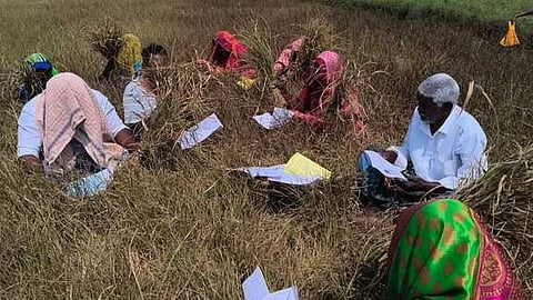  செய்யாமங்கலம் கிராமத்தில் கருகிய நெல்பயிா்களுக்கு நிவாரணம் வழங்கக் கோரி வயலில் அடங்கல் சான்றுடன் போராட்டத்தில் ஈடுபட்ட விவசாயிகள்.

