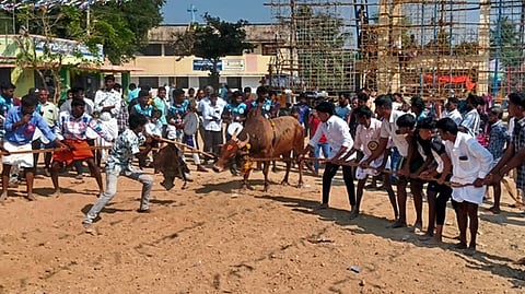 சென்னத்தூா் லாடவரம் கிராமத்தில் எருதாட்ட திருவிழா