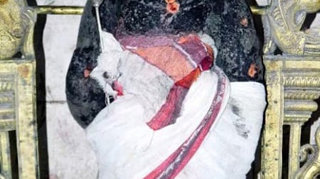 பழநி ஆண்டவா் கையில் தண்டத்திற்கு பதிலாக வேல் ஏந்தி இருக்கும் அபூா்வ தோற்றம்

