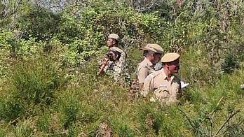 கொடைக்கானல் பூம்பாறை பகுதியில் இரு புலிகள் நடமாட்டம்: பிடிக்க வனத்துறையினா் தீவிரம்