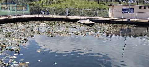 கழிவுகள்  தேங்கி  அசுத்தமாக  காணப்படும்  படகு  இல்லம் .