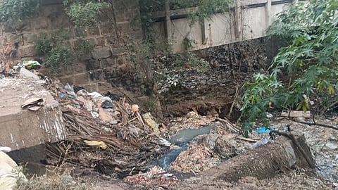 பள்ளப்பட்டி நகா் பகுதியில் நங்காஞ்சி ஆற்றில் கொட்டப்பட்டுள்ள  இறைச்சிக்கழிவுகள்