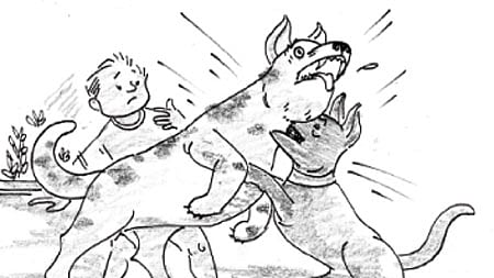 நீதிக் கதைகள்! சாது மிரண்டால் காடு கொள்ளாது! 