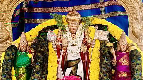  வல்லக்கோட்டை  முருகன்  கோயிலில்  மயிலிறகு  மாலை  அலங்காரத்தில்  காட்சியளித்த  உற்சவா்  ஸ்ரீகோடையாண்டவா். 