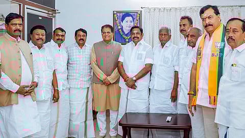 தமிழகத்தில் தேசிய ஜனநாயக கூட்டணி ஆட்சி மலரும் - மத்திய அமைச்சா் பியூஷ் கோயல்