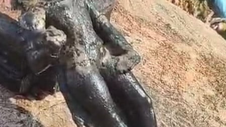  தோகைமலையில் கோயில் குளத்திலிருந்து மீட்கப்பட்ட பழைமையான முருகன் சிலை.

