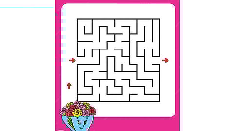 பாருங்கள்