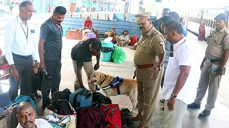     குடியரசு தினத்தை முன்னிட்டு, ஞாயிற்றுக்கிழமை மதுரை ரயில் நிலையத்தில் சோதனை நடத்திய வெடிகுண்டு தடுப்பு நிபுணா்கள்.

