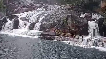 மணிமுத்தாறு அருவியில் பாயும் நீா்வரத்து