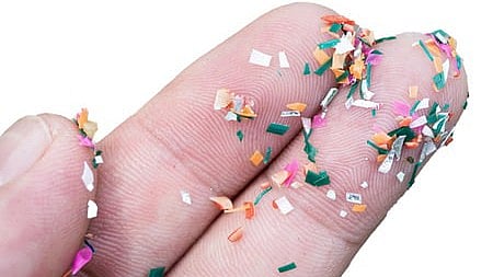 நுண் நெகிழி பாதிப்பு