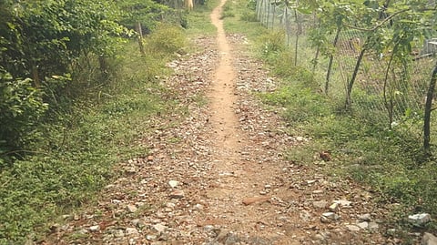 சந்தப்படுகை கிராமம் மேட்டுத் தெருவுக்கு செல்லும் மண் சாலை.