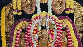  தங்க கவச  சிறப்பு  அலங்காரத்தில்  ரத்தினகிரி  வள்ளி,  தெய்வானை  சமேத  பாலமுருகன்.  