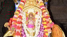 தங்கமயில் வாகனத்தில் எழுந்தருளிய சின்னக்குமார சுவாமி