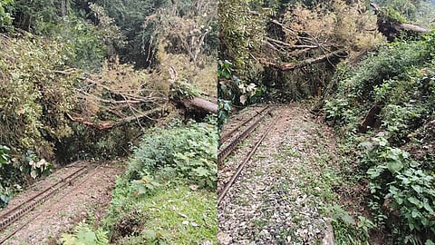 தண்டவாளத்தில் விழுந்த மரம்.