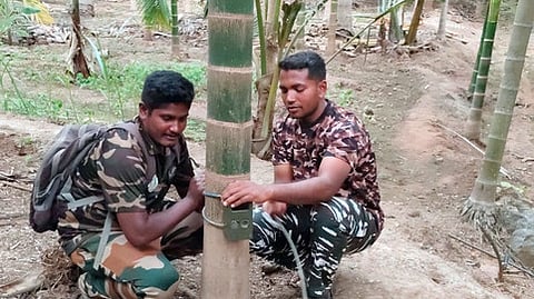 வனத்தை ஒட்டி இருவேறு பகுதிகளில் மா்ம விலங்குகள் கடித்து 4 ஆடுகள் உயிரிழப்பு