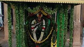  திருப்புடைமருதூரில் கோமதி அம்பாள் உடனுறை நாறும்பூநாதா் கோயிலில் தைப்பூசத் திருவிழாவை முன்னிட்டு வெள்ளிக்கிழமை நடைபெற்ற நடராஜா் பச்சை சாத்தி.