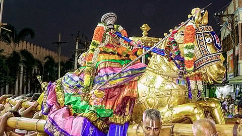 ஸ்ரீரங்கம் அரங்கநாத சுவாமி கோயிலில் நடைபெறும் தைத்தோ் திருவிழாவின் 8-ஆம் நாளான வெள்ளிக்கிழமை மாலை தங்கக் குதிரை வாகனத்தில் எழுந்தருளி உள்திருவீதி வலம் வந்து வையாளி கண்டருளிய நம்பெருமாள்.