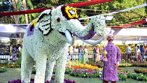    தாவரவியல் பூங்கா மலா், காய்கனி கண்காட்சியில் இடம் பெற்ற உருவங்கள். 