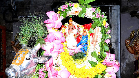  திருப்பத்தூா் திருத்தளிநாதா் கோயிலில் வெள்ளிக்கிழமை பிரதோஷத்தையொட்டி வெள்ளி ரிஷப வாகனத்தில் எழுந்தருளிய  நந்தீஸ்வரா். 