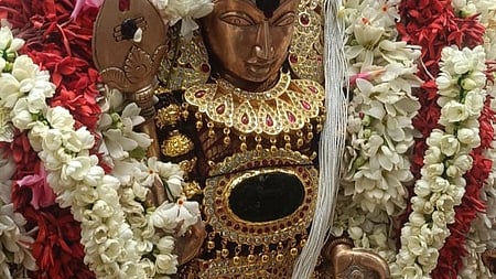  சிறப்பு அலங்காரத்தில் அருள்பாலித்த பழனி ஆண்டவா். 