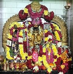 சிறப்பு அலங்காரத்தில் ஸ்ரீவள்ளி சேவசேனா சமேத ஸ்ரீசுப்பிரமணியா் சுவாமி.