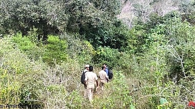  வேலூா் அம்ருதி வனப்பகுதியில் இரைகொல்லி பறவைகள் கணக்கெடுப்புப் பணியில் ஈடுபட்ட வனத்துறையினா். 