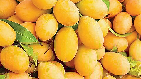 டிப்ஸ்... டிப்ஸ்...