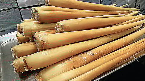 பனங்கிழங்கின் பயன்கள் 