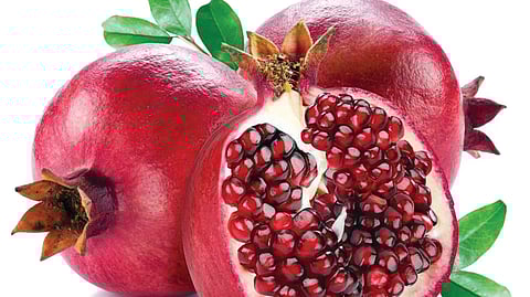 ஆயுள் காக்கும் ஆயுர்வேதம்: எரிச்சலுடன் கூடிய வலி நீங்க...