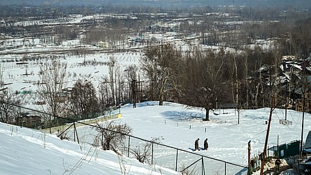 காஷ்மீர் 