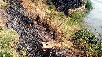 போடிநாயக்கன்பட்டி ஏரியில் அழகுபடுத்தப்பட்ட கரையில் மா்ம நபா்கள் தீவைத்ததால் எரிந்து கருகிய புற்கள்