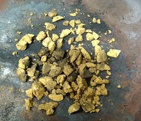 பசை வடிவிலான தங்கம்